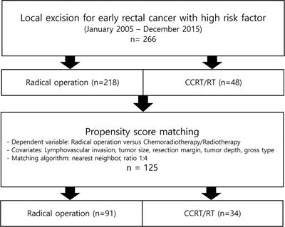 Can CCRT/RT Achieve Favorable Oncologic Outcome in Rectal Cancer Patients With High Risk Feature After Local Excision?